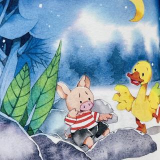 睡前故事3199《企鹅寄冰》之《鸭子星座》