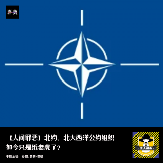 北约，北大西洋公约组织如今是纸老虎了？丨人间罪恶