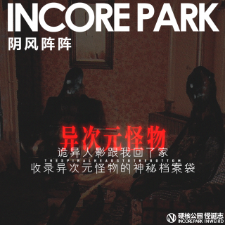 vol.513 阴风阵阵 诡异人影跟我回了家，收录异次元怪物的神秘档案袋