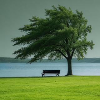 有些相遇，注定是用来遗憾的