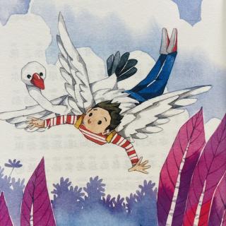 睡前故事3202《企鹅寄冰》之《天鹅与少年》