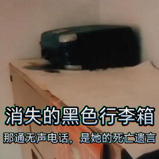 157.消失的黑色行李箱：那通无声电话，是她的死亡遗言