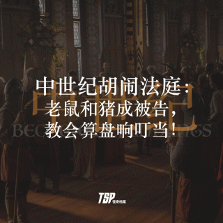 中世纪胡闹法庭：老鼠和猪成被告，教会算盘响叮当！