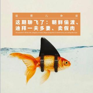 VOL.385 这期聊飞了：朝鲜偷渡、迪拜一夫多妻、卖假肉