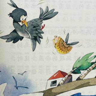 睡前故事3203《企鹅寄冰》之《贝壳鸟》