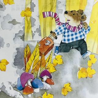 睡前故事3204《企鹅寄冰》之《小熊的旅行》