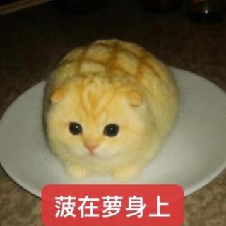 Vol.153 真没想到吧，冷笑话来啦