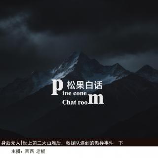 185身后无人|世上第二大山难后，救援队在山上遇到里离奇诡异事件（下）