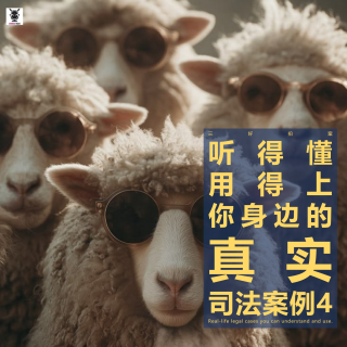 三好拍案 - 听得懂用得上你身边的真实司法案例4