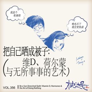 vol.356 把自己晒成被子：维D、荷尔蒙与无所事事的艺术