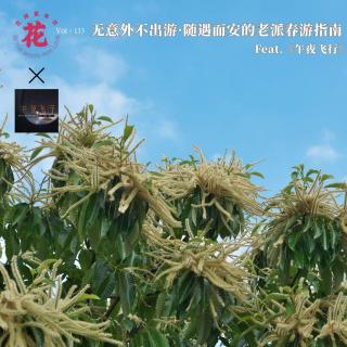 无意外不出游·随遇而安的老派春游指南·花样更年华 Vol：133
