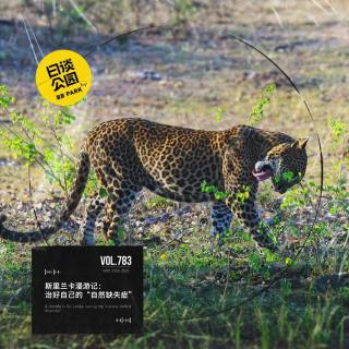 vol.783 斯里兰卡漫游记：治好自己的“自然缺失症”