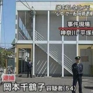 绝密档案 暗黑版“家有儿女”