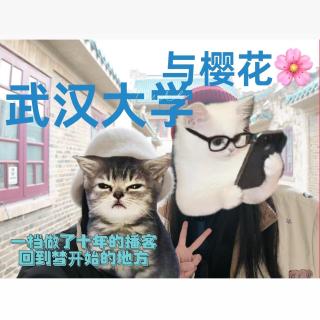 vol.283:十周年第三弹！重返天台，武大与樱花城堡（视频播客上线|天台二锅头