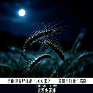 是谁拖着尸体走了100米？——麦田里的死亡陷阱