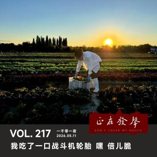 217 一千零一夜：我吃了一口战斗机轮胎 嘿 倍儿脆