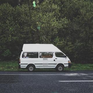 Vol.113 新西兰神奇动物之旅｜上