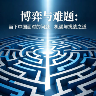 博弈与难题：当下中国面对的问题，机遇与挑战之道