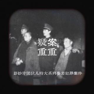 EP25.彭妙计团伙儿特大系列暴力犯罪案件