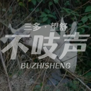 EP80.棉被里的台风夜-台湾眷村谜案