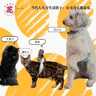 当代人头号生活搭子：有毛没毛都是爱·花样更年华 Vol：137