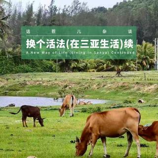 VOL.391 换个活法（在三亚生活）续