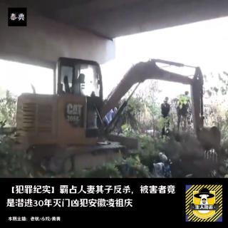霸占人妻其子反杀，被害者竟是潜逃30年灭门凶犯安徽凌组庆丨犯罪纪实