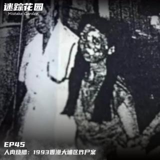 EP45-人肉烧腊：1993香港大埔区炸尸案