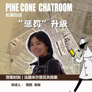 201.罪案时刻|“惩罚”升级-法国米尔普瓦失踪案