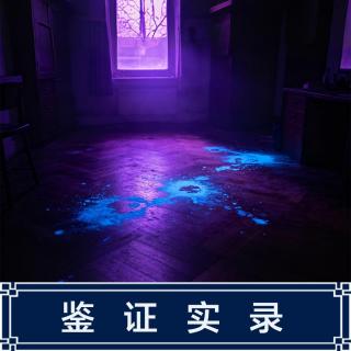 292.困扰西班牙17年的玛塔谜案