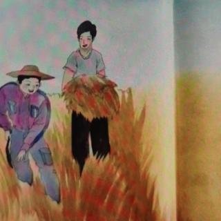 芒种时节收播忙——节气绘本