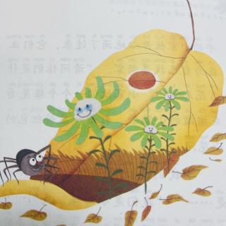 睡前故事3262《森林中的机器人》之《蜘蛛与雏菊》