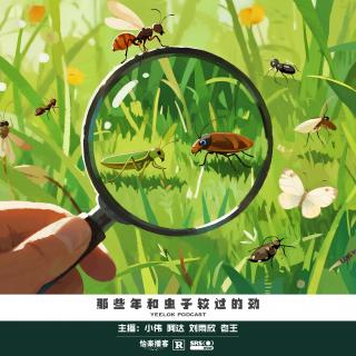 932.那些年和虫子较过的劲