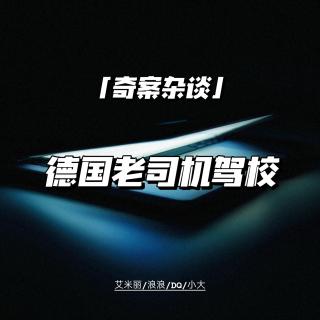 德国老司机驾校案【奇案杂谈74】
