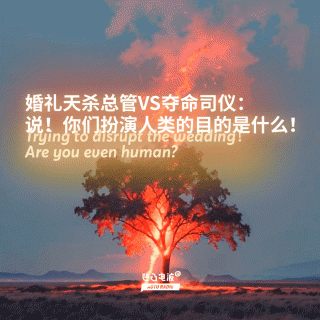 婚礼天杀总管VS夺命司仪：说！你们扮演人类的目的是什么！