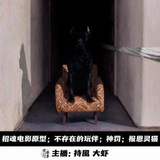【高考加油】×【播客会客厅】招魂；不存在的玩伴；神罚；报恩灵猫 -143