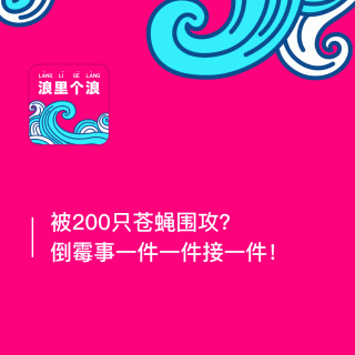 144、被200只苍蝇围攻？倒霉事一件一件接一件：最近有点浪（六）