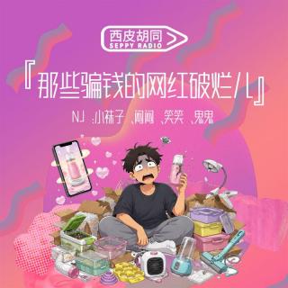 VOL439.那些骗钱的网红破烂儿｜种草一时爽，闲置火葬场