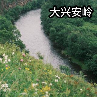 35. 夏天，就该去大兴安岭！秋天也去，冬天也去，春天也... ft. Younger旅行