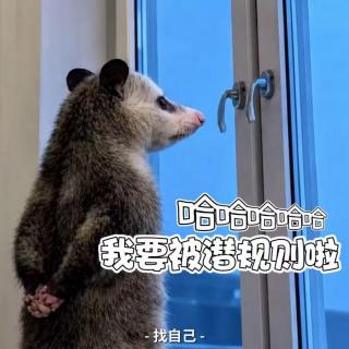 盘点那些职场皇族：当关系户要“潜规则”我【播客会客厅】