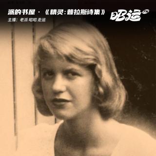 204·《精灵：普拉斯诗集》：在静谧的深蓝色里燃烧