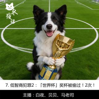 7. 低智商犯罪2：「世界杯」奖杯被偷过！2次！