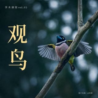 学术酒馆04｜灰喜鹊在骂你，而你听不懂