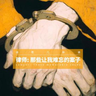 VOL.394 律师：那些让我难忘的案子