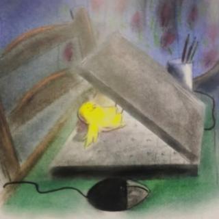 小鸡上网——睡前故事（网络安全）