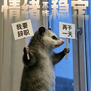 Vol.196｜亲爱的，别再假装「情绪稳定」了！