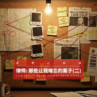 VOL.395 律师：那些让我难忘的案子(二）