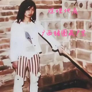 EP65.深埋地底-广西猪圈藏尸案