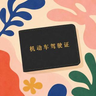 66.学车经验贴|北京VS上海，哪的驾校更“虐”？