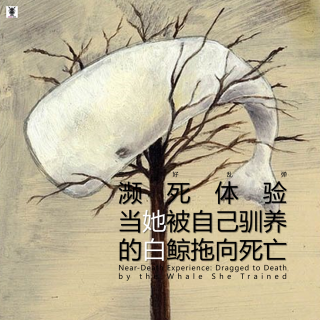 三好乱弹 - 濒死体验，当她被自己驯养的白鲸拖向死亡